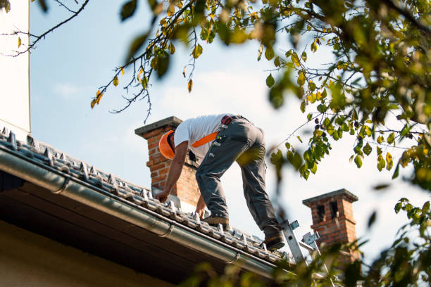 Best Roof Maintenance Services  in Treasure Lake, PA